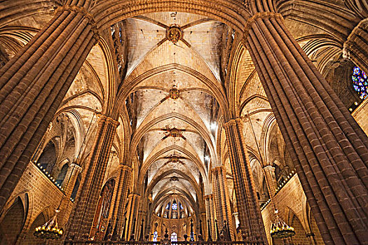 室内,大教堂,巴塞罗那,加泰罗尼亚,西班牙