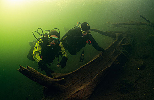两个,潜水,浓厚,木头,水下