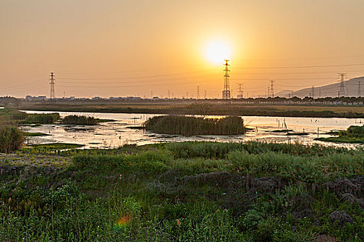 夕阳下的沼泽