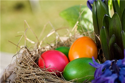 彩色,复活节彩蛋,花园