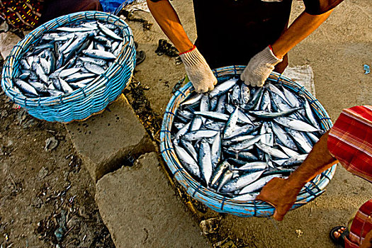 渔民,渔港,印度尼西亚,四月,2008年