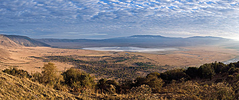 恩戈罗恩戈罗火山口,坦桑尼亚,非洲