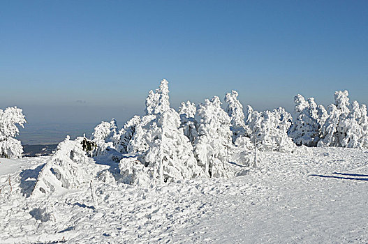 冬季风景,布罗肯,哈尔茨山,德国