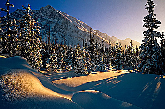 日落,上方,冬季风景,繁荣,湖,班芙国家公园,艾伯塔省,加拿大