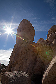 排列,阳光,仰视,约书亚树国家公园,加利福尼亚,美国