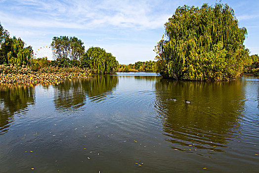 公園