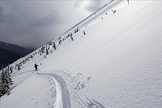 边远地区,滑雪,不列颠哥伦比亚省,加拿大