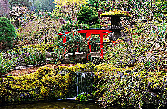 日式庭园,宝翠花园,维多利亚,不列颠哥伦比亚省,加拿大