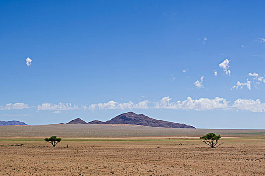 山,纳米布沙漠,区域,纳米比亚,非洲