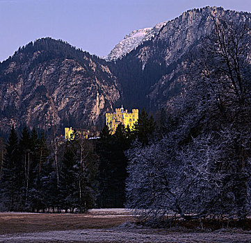 城堡,晚上,灯,山,斯瓦比亚,巴伐利亚,德国,欧洲