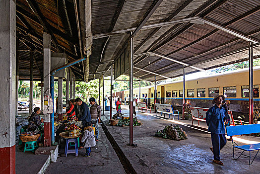 火车站,食物,销售,站台,掸邦,缅甸