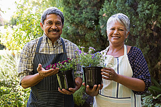 高兴,老年,夫妻,拿着,盆栽,花园,头像