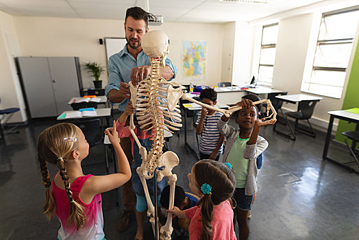 男性,教师,解释,骨骼,模型,教室