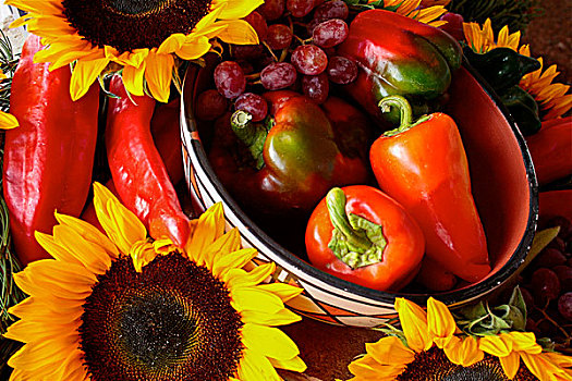 圣达菲,新墨西哥,美国,展示,红椒,向日葵