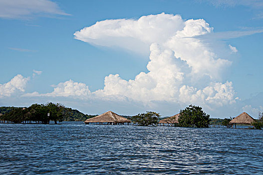 巴西,亚马逊河,著名,海滩,高度,小屋,水下,大幅,尺寸