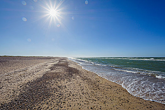 海滩,太阳,夏天,北方,日德兰半岛,丹麦