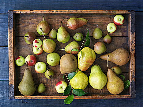 品种,苹果,梨,木盒