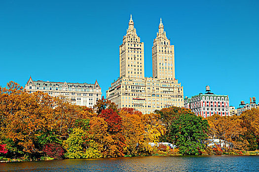 中央公园,秋天,建筑,曼哈顿中城,纽约
