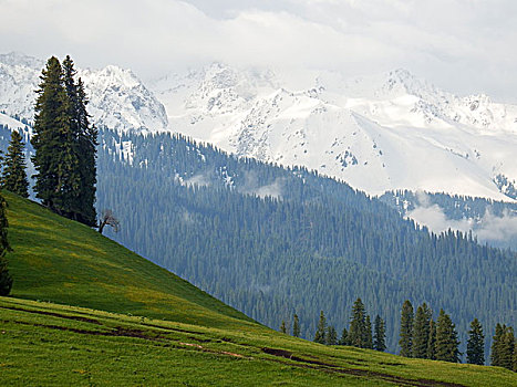 云雾天山