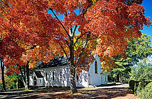 教堂,围绕,红枫,树,秋叶,安那波利斯谷地,新斯科舍省,加拿大