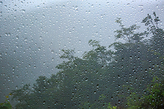 树林,朦胧,山林,雨雾,雨水,山,雨季,雨滴