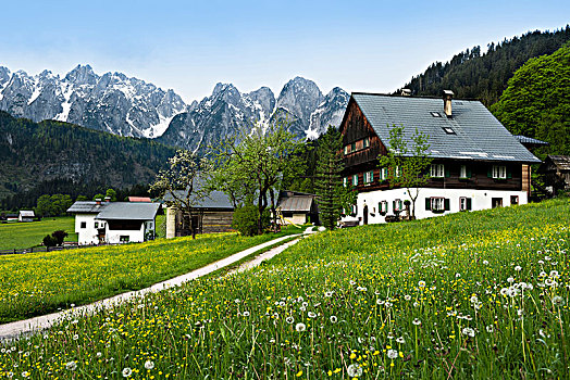 自然风光,农场,阿尔卑斯山,萨尔茨堡州,奥地利