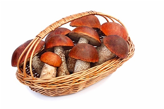 蘑菇,白杨,柳条篮,白色背景