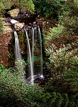 瀑布,树林,奥特威,国家,公园,维多利亚,澳大利亚