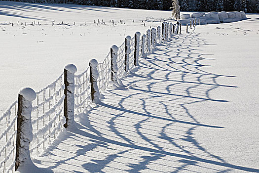 土地,栅栏,积雪,魁北克,加拿大