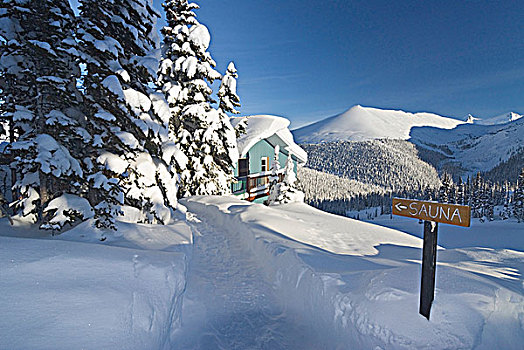 小屋,桑拿浴,小路,雪,山峦,魁北克,加拿大