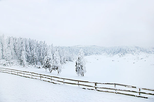 重庆武隆仙女山雪景