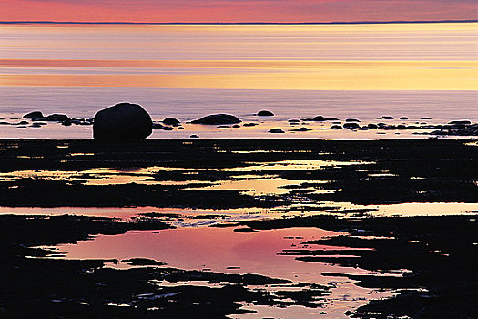 日落,退潮,劳伦斯河,魁北克,加拿大