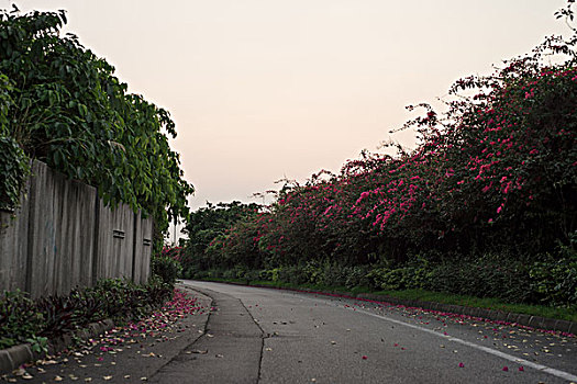 黄昏的公路