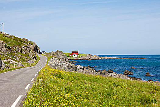海岸,道路,罗弗敦群岛,挪威