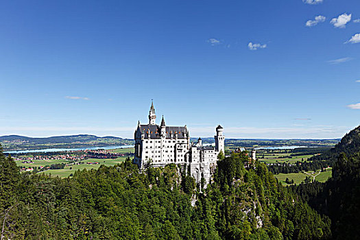 风景,桥,城堡,新天鹅堡,士瓦本,巴伐利亚,德国,欧洲