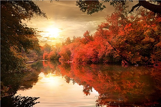 秋天,日落,上方,河