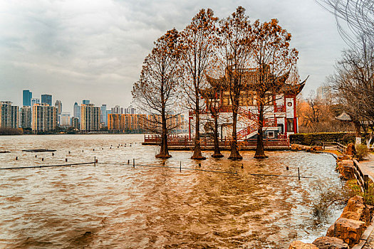 南京,莫愁湖,公园
