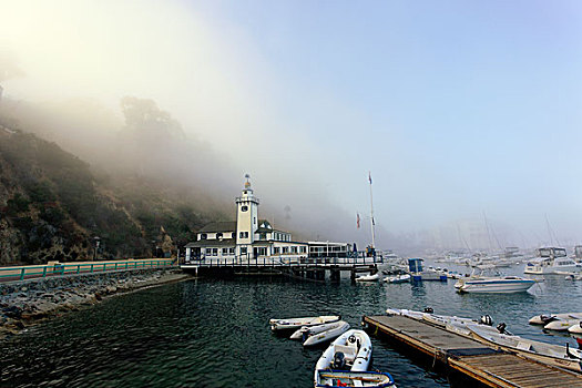 雾状,下午,卡塔琳娜,港口,加利福尼亚