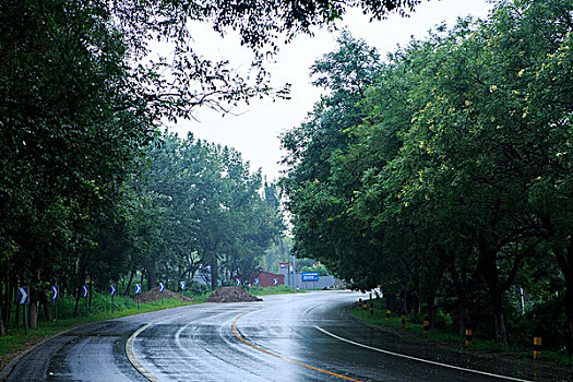 北京永定河左堤路,雨后路面