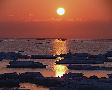 海洋,浮冰,日出