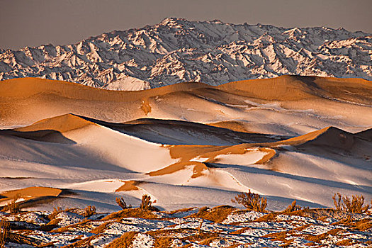 沙丘,冬天,戈壁沙漠,蒙古