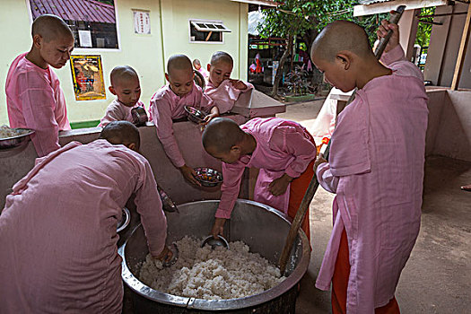 缅甸,仰光,女僧侣,米饭,巨大,容器,女性,寺院