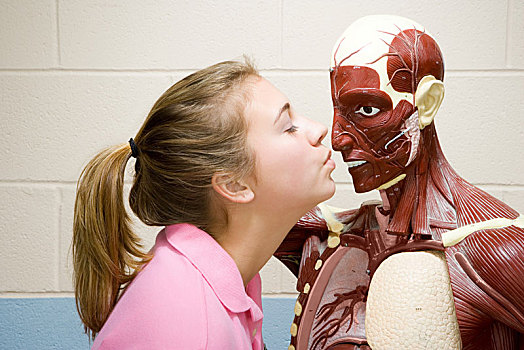 女学生,吻,解剖模型