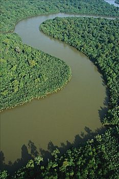 原生态,红树林,三角洲,毁坏,2001年,虾,耕作,东方,加里曼丹,印度尼西亚