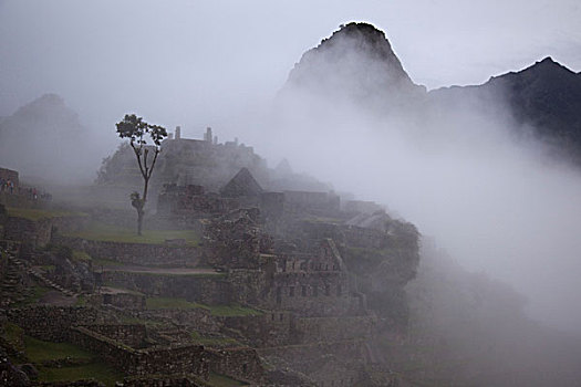 南美,秘鲁,马丘比丘,晨雾,上方,遗址,世界遗产