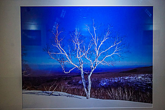 名家，作品，攝影，展覽，石永亭攝影作品，冰雪長白山，