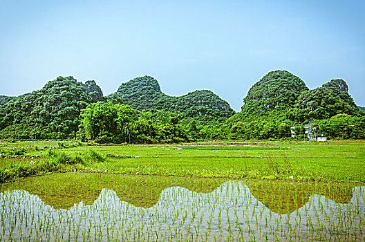 田园风光