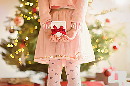 女孩,粉红裙,拿着,圣诞礼物,后面,背影,正面,圣诞树