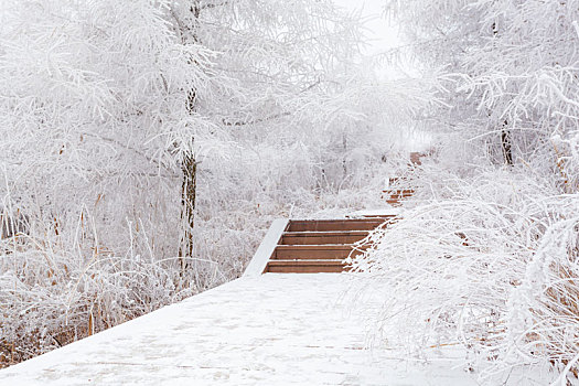 陕西宝鸡太白县衙岭雪景