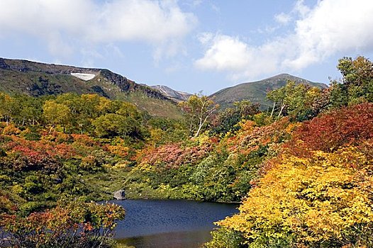 温泉,沼泽,秋叶